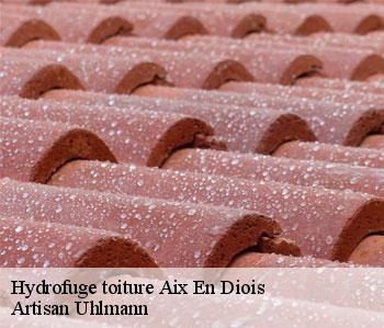 Hydrofuge toiture  aix-en-diois-26150 Artisan Uhlmann