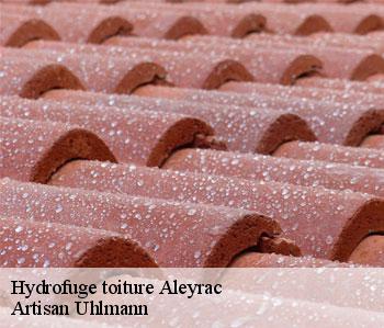 Hydrofuge toiture  aleyrac-26770 Artisan Uhlmann