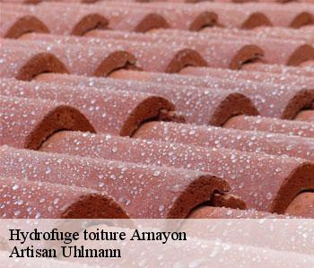 Hydrofuge toiture  arnayon-26470 Artisan Uhlmann