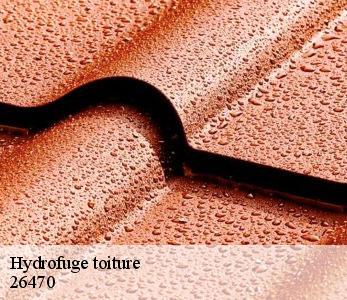 Hydrofuge toiture 26470