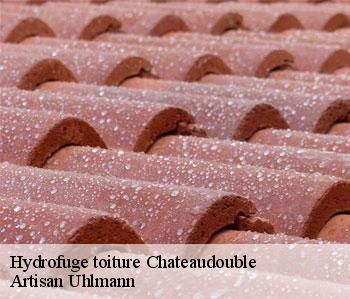 Hydrofuge toiture  chateaudouble-26120 Artisan Uhlmann