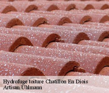 Hydrofuge toiture chatillon-en-diois-26410 Artisan Uhlmann