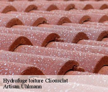 Hydrofuge toiture cliousclat-26270 Artisan Uhlmann