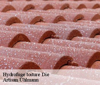 Hydrofuge toiture  die-26150 Artisan Uhlmann
