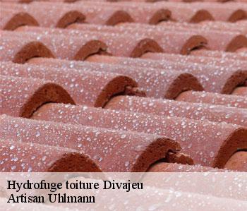 Hydrofuge toiture divajeu-26400 Artisan Uhlmann