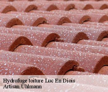 Hydrofuge toiture luc-en-diois-26310 Artisan Uhlmann