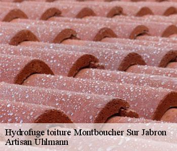 Hydrofuge toiture  montboucher-sur-jabron-26740 Artisan Uhlmann