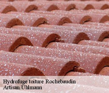 Hydrofuge toiture rochebaudin-26160 Artisan Uhlmann