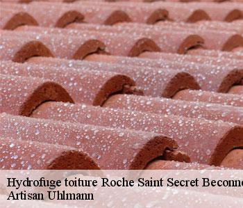 Hydrofuge toiture  roche-saint-secret-beconne-26770 Artisan Uhlmann