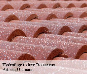 Hydrofuge toiture  roussieux-26510 Artisan Uhlmann