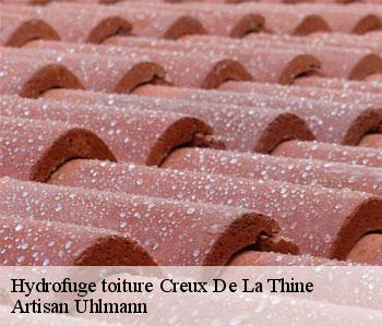 Hydrofuge toiture creux-de-la-thine-26140 Artisan Uhlmann