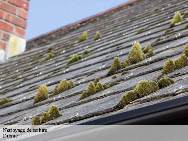 Nettoyage de toiture Drôme 