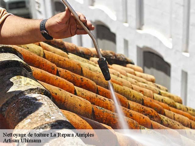 Nettoyage de toiture  la-repara-auriples-26400 Artisan Uhlmann