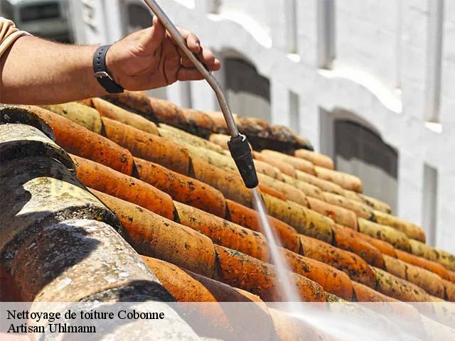 Nettoyage de toiture cobonne-26400 Artisan Uhlmann