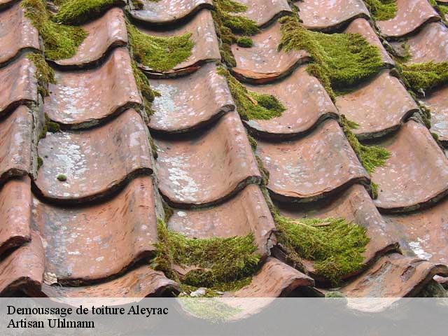 Demoussage de toiture  aleyrac-26770 Artisan Uhlmann