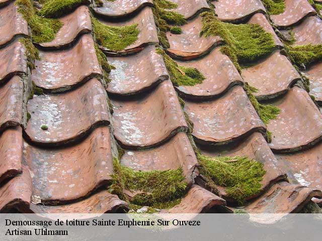 Demoussage de toiture  sainte-euphemie-sur-ouveze-26170 Artisan Uhlmann