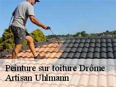 Peinture sur toiture 26 Drôme  Artisan Uhlmann