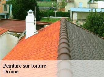 Peinture sur toiture Drôme 