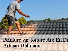 Peinture sur toiture  aix-en-diois-26150 Artisan Uhlmann