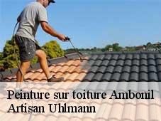 Peinture sur toiture  ambonil-26800 Artisan Uhlmann