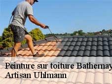 Peinture sur toiture  bathernay-26260 Artisan Uhlmann