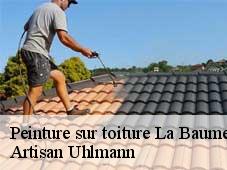 Peinture sur toiture  la-baume-cornillane-26120 Artisan Uhlmann