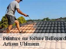 Peinture sur toiture  bellegarde-en-diois-26470 Artisan Uhlmann