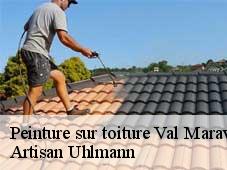 Peinture sur toiture  val-maravel-26310 Artisan Uhlmann