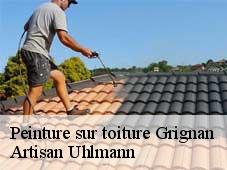 Peinture sur toiture  grignan-26230 Artisan Uhlmann