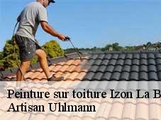 Peinture sur toiture  izon-la-bruisse-26560 Artisan Uhlmann