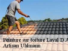 Peinture sur toiture  laval-d-aix-26150 Artisan Uhlmann