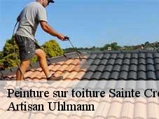 Peinture sur toiture sainte-croix-26150 Artisan Uhlmann