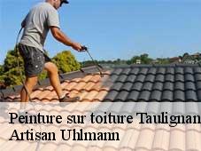 Peinture sur toiture  taulignan-26770 Artisan Uhlmann