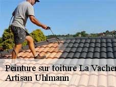 Peinture sur toiture la-vacherie-26190 Artisan Uhlmann