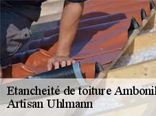 Etancheité de toiture  ambonil-26800 Artisan Uhlmann