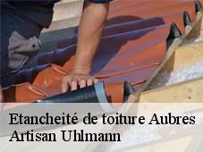 Etancheité de toiture  aubres-26110 Artisan Uhlmann