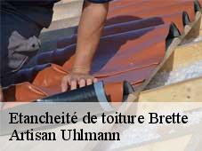 Etancheité de toiture  brette-26340 Artisan Uhlmann