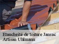 Etancheité de toiture  jansac-26310 Artisan Uhlmann