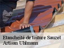 Etancheité de toiture  sauzet-26740 Artisan Uhlmann