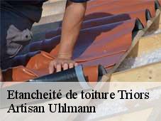 Etancheité de toiture  triors-26750 Artisan Uhlmann