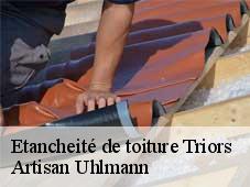 Etancheité de toiture triors-26750 Artisan Uhlmann