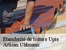 Etancheité de toiture upie-26120 Artisan Uhlmann